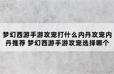 梦幻西游手游攻宠打什么内丹攻宠内丹推荐 梦幻西游手游攻宠选择哪个